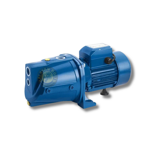 Wizz 1HP Electric Motor