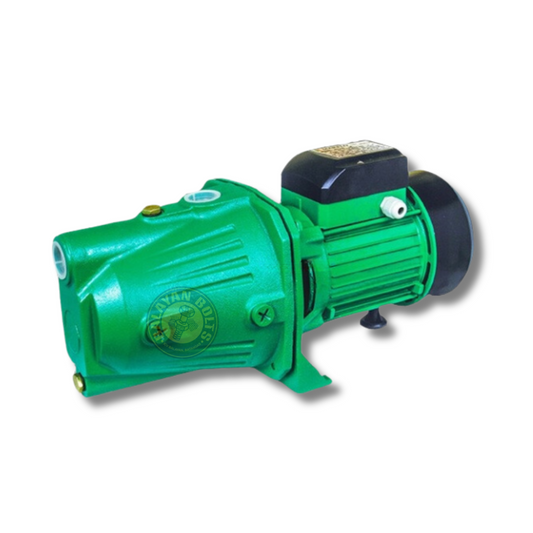 Marflo 1HP Electric Motor